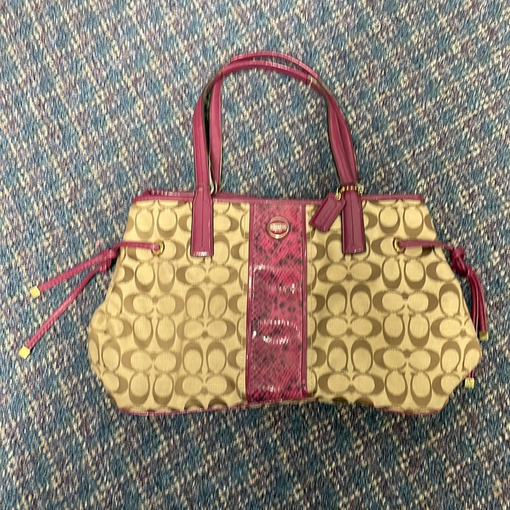 Used Coach Signature Python Stripe Carry-All